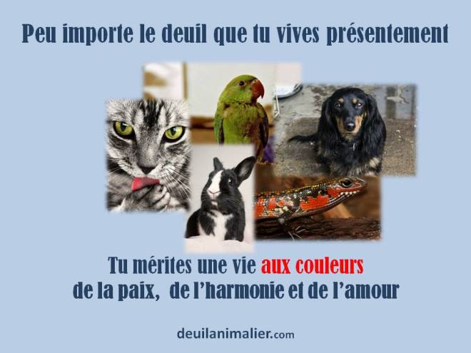 Citation Sur Le Deuil Animalier Et La Vie Deuil Animalier